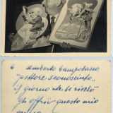 Cos� lo menziona scherzosamente anche il fotografo Ficarelli in una dedica autografa, posta sul retro di un suo fotoritratto che regal� all�artista all�inaugurazione della rassegna